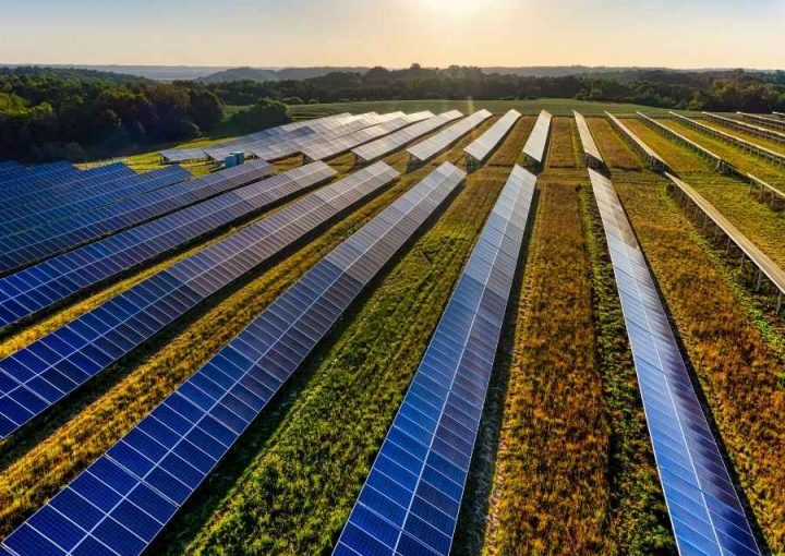 aj asesores campo paneles solares energia fotovoltaica