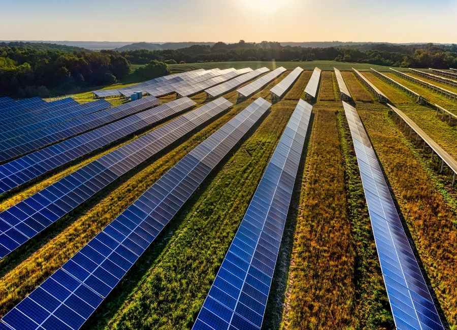 aj asesores campo paneles solares energia fotovoltaica